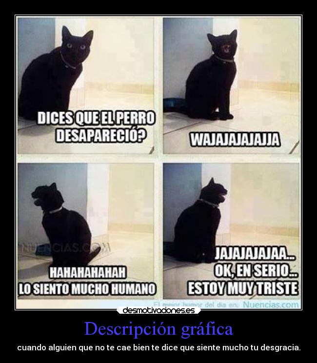 Descripción gráfica - cuando alguien que no te cae bien te dice que siente mucho tu desgracia.