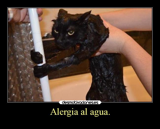 Alergia al agua. - 
