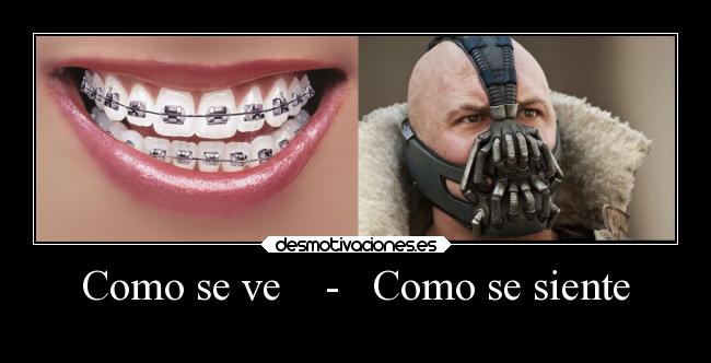 carteles gatos batman desmotivaciones