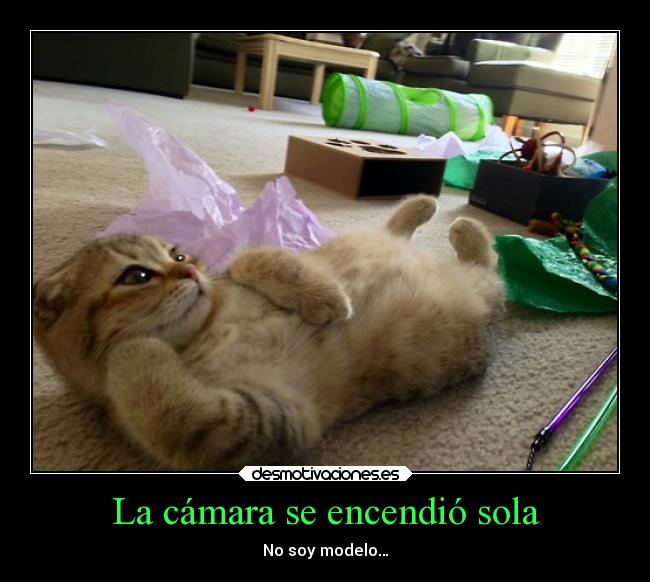 La cámara se encendió sola - No soy modelo…