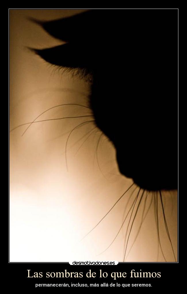 Las sombras de lo que fuimos -