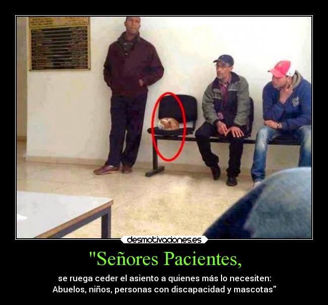 Señores Pacientes, -