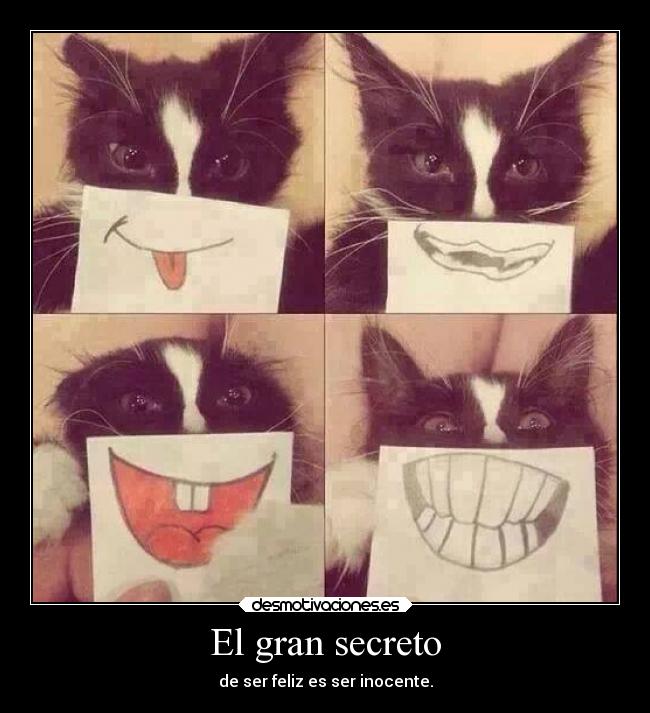 carteles gatos frases masexoymenostonterias okno desmotivaciones