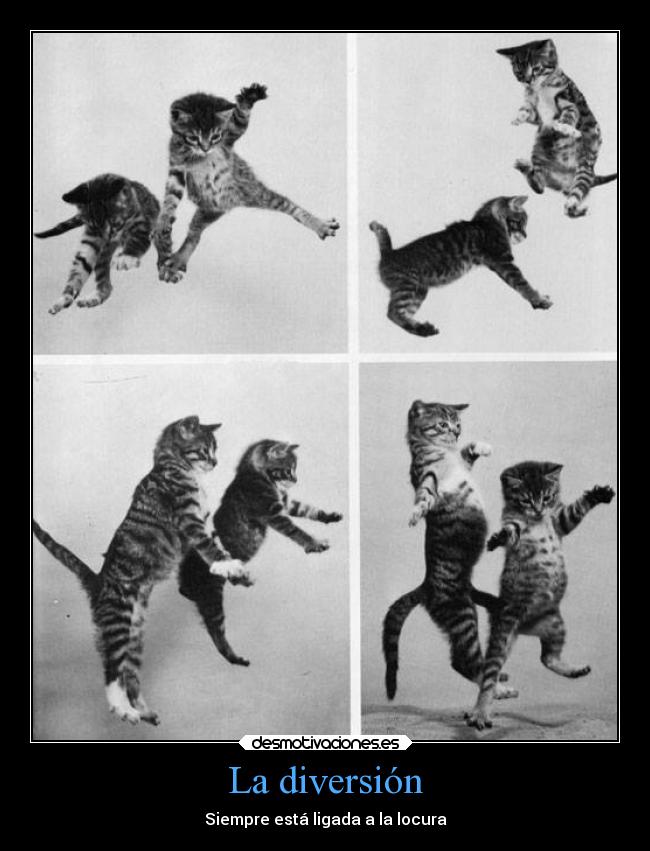 La diversión - Siempre está ligada a la locura