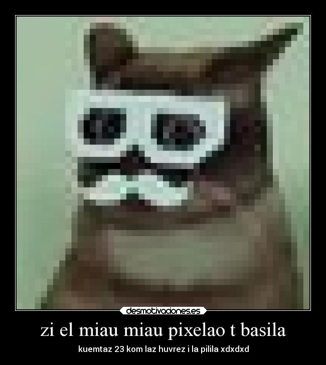 zi el miau miau pixelao t basila - kuemtaz 23 kom laz huvrez i la pilila xdxdxd