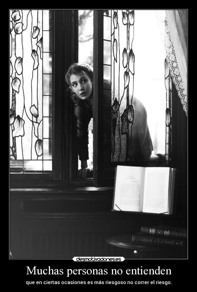 carteles gatos nosfezood desmotivaciones