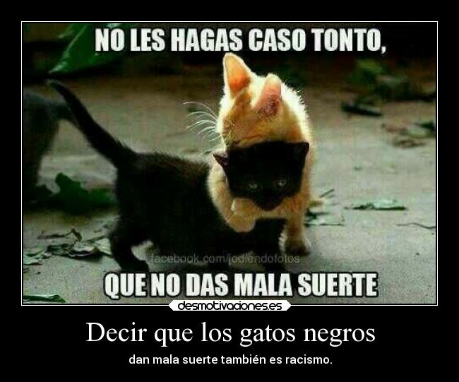 Decir que los gatos negros -