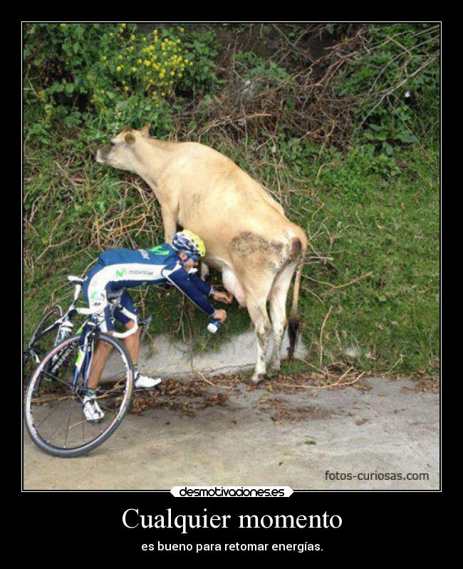 carteles graciosas masexoymenostonterias okno desmotivaciones