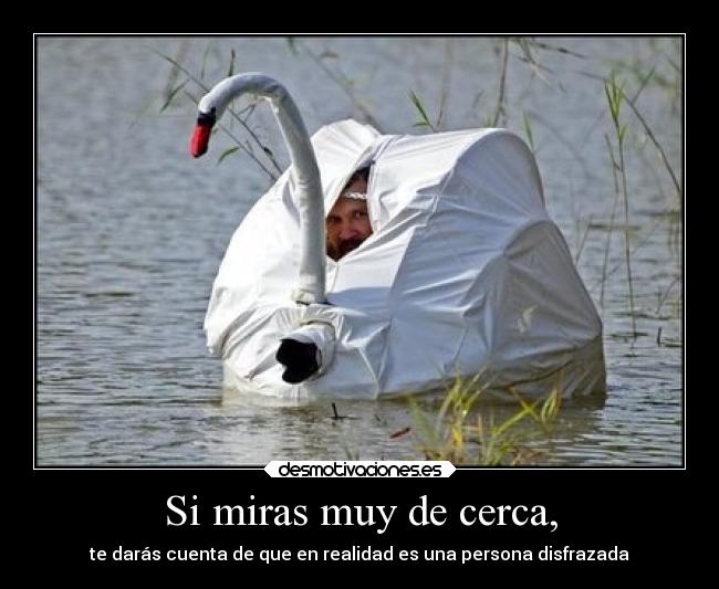 Si miras muy de cerca, - 