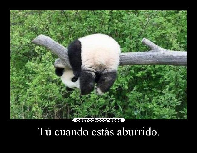 Tú cuando estás aburrido. -
