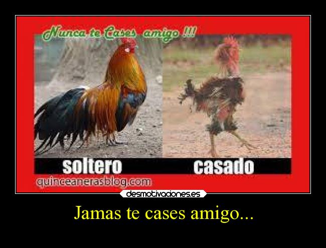 Jamas te cases amigo... -