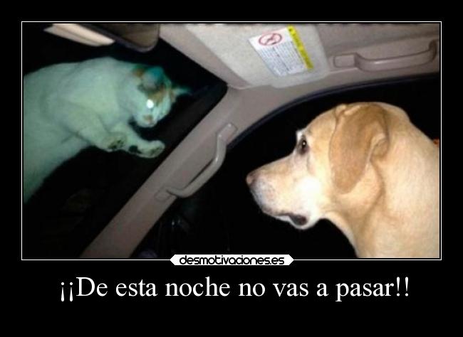 ¡¡De esta noche no vas a pasar!! -