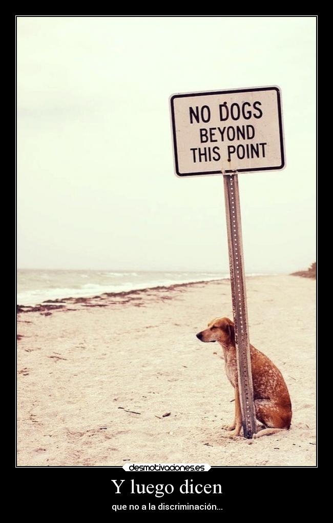 carteles humor davor safth 123 clandesplazado soyunidiotatm esto podria tomarse dos formas desmotivaciones