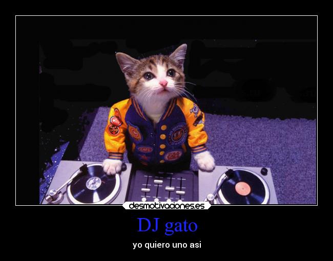 DJ gato - yo quiero uno asi