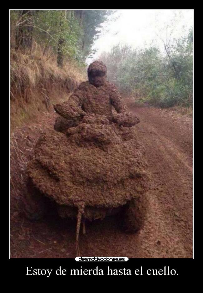 Estoy de mierda hasta el cuello. -