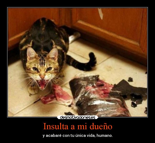Insulta a mi dueño - y acabaré con tu única vida, humano.
