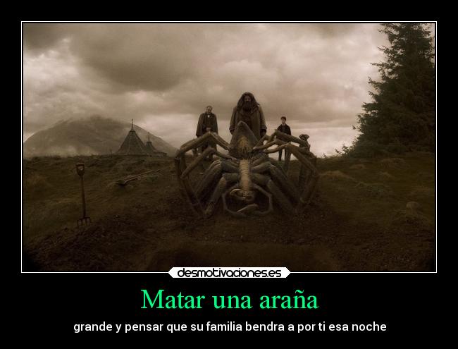 Matar una araña -