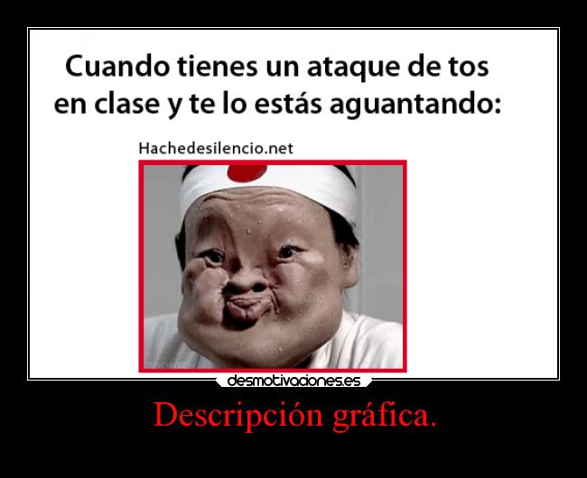 Descripción gráfica. - 