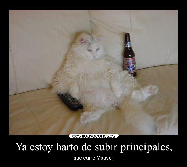 Ya estoy harto de subir principales, - que curre Mouser.