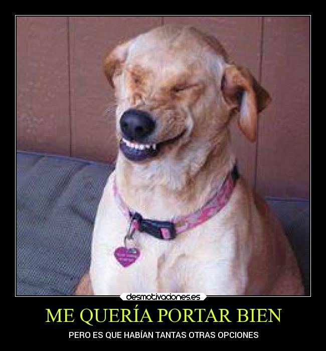 ME QUERÍA PORTAR BIEN - PERO ES QUE HABÍAN TANTAS OTRAS OPCIONES