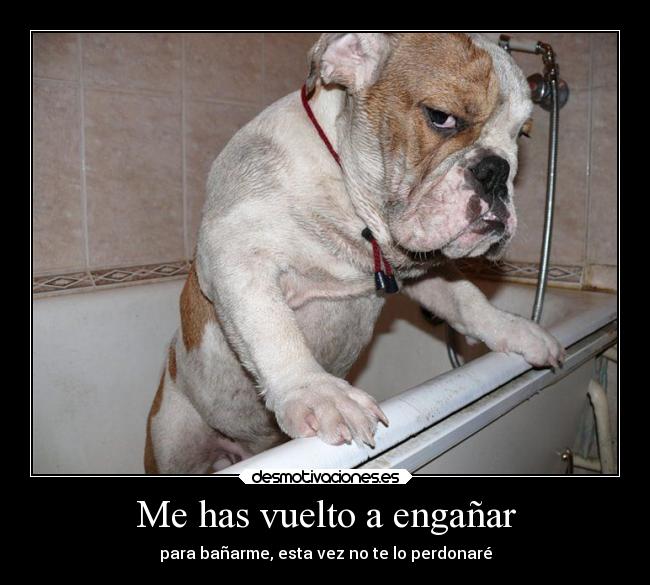 Me has vuelto a engañar -