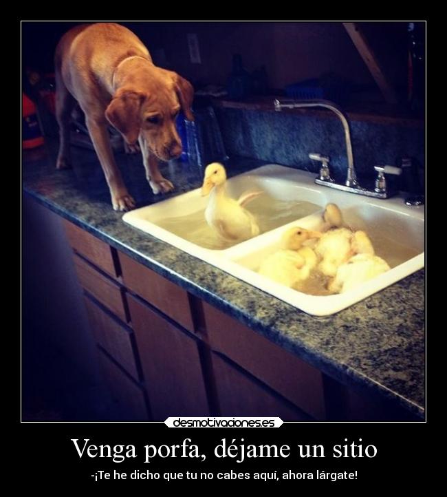Venga porfa, déjame un sitio -