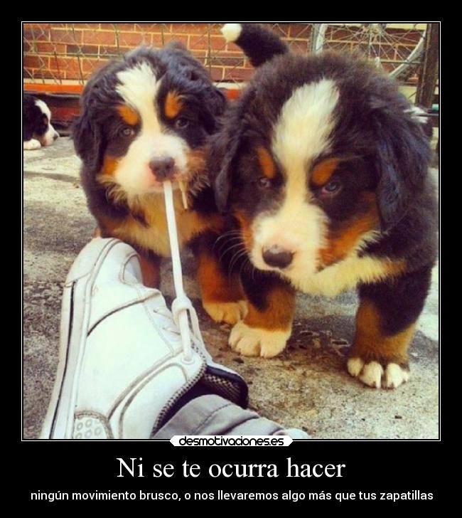 Ni se te ocurra hacer -