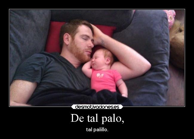 De tal palo, - tal palillo.