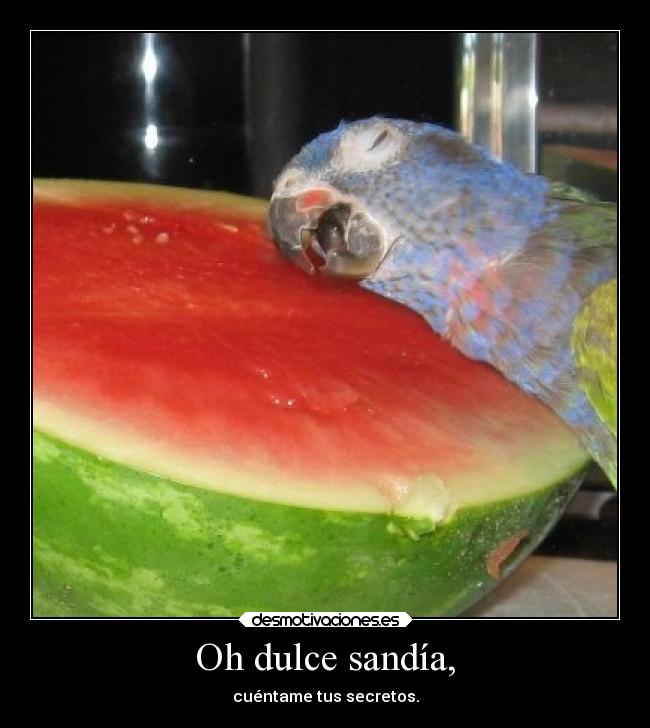 carteles humor selafollafijo metalkillerclown desmotivaciones