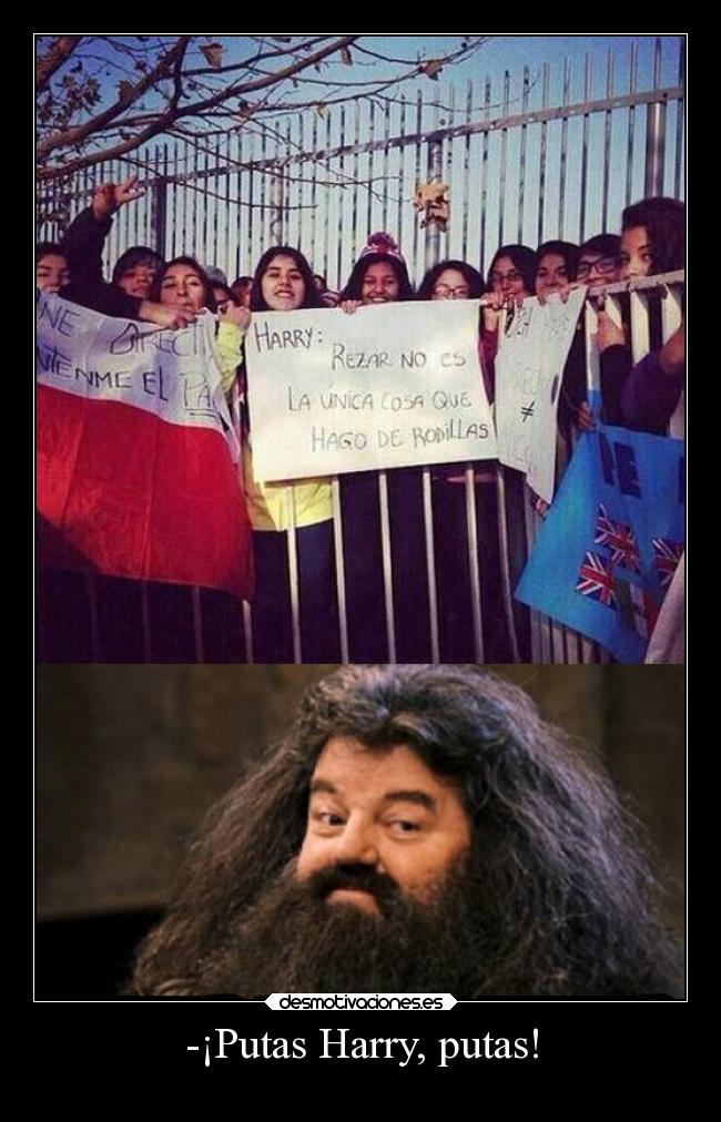 -¡Putas Harry, putas! - 