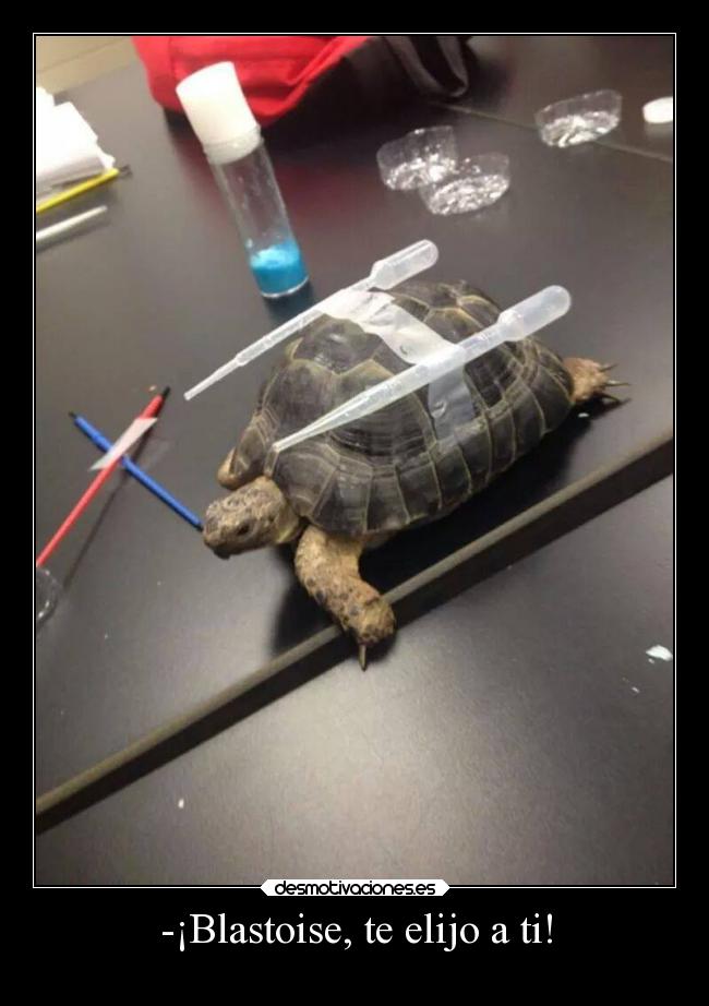 -¡Blastoise, te elijo a ti! - 