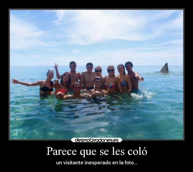 carteles humor visitante inesperado tiburon foto desmotivaciones