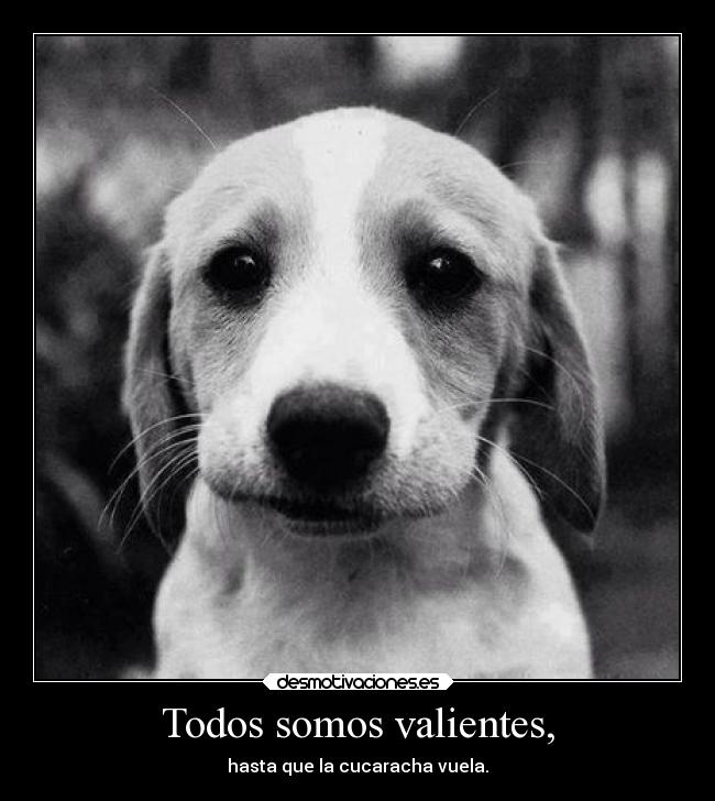 Todos somos valientes, -