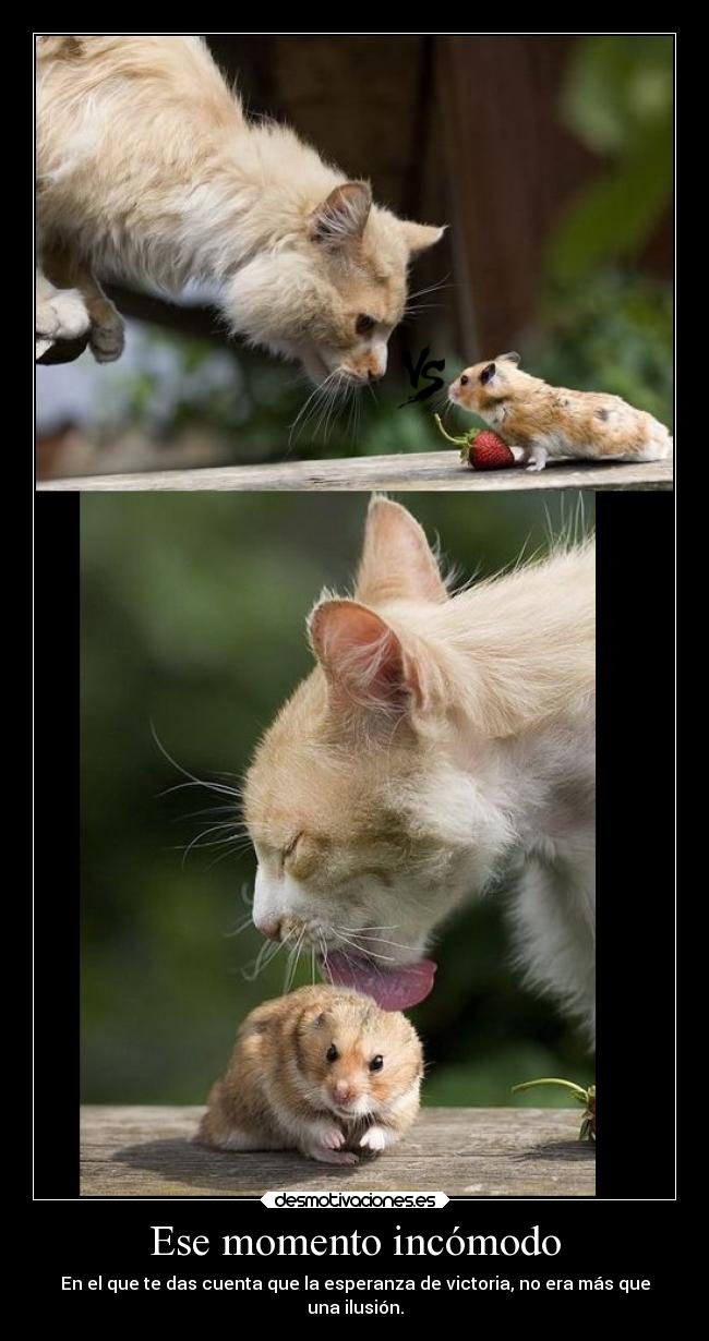 Ese momento incómodo - En el que te das cuenta que la esperanza de victoria, no era más que
una ilusión.