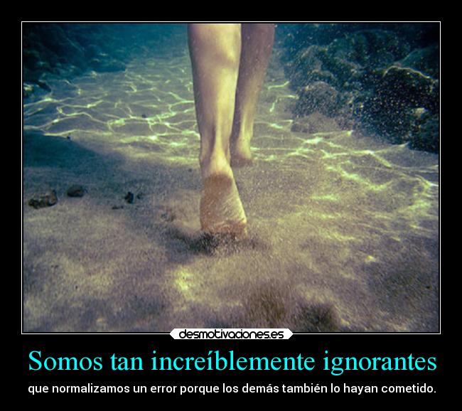 Somos tan increíblemente ignorantes -