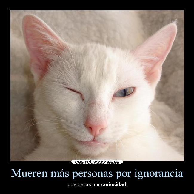 Mueren más personas por ignorancia -