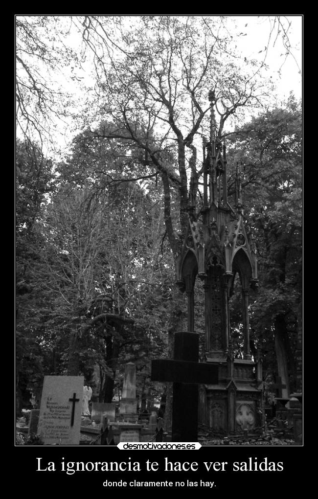 La ignorancia te hace ver salidas -
