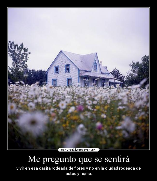 Me pregunto que se sentirá -