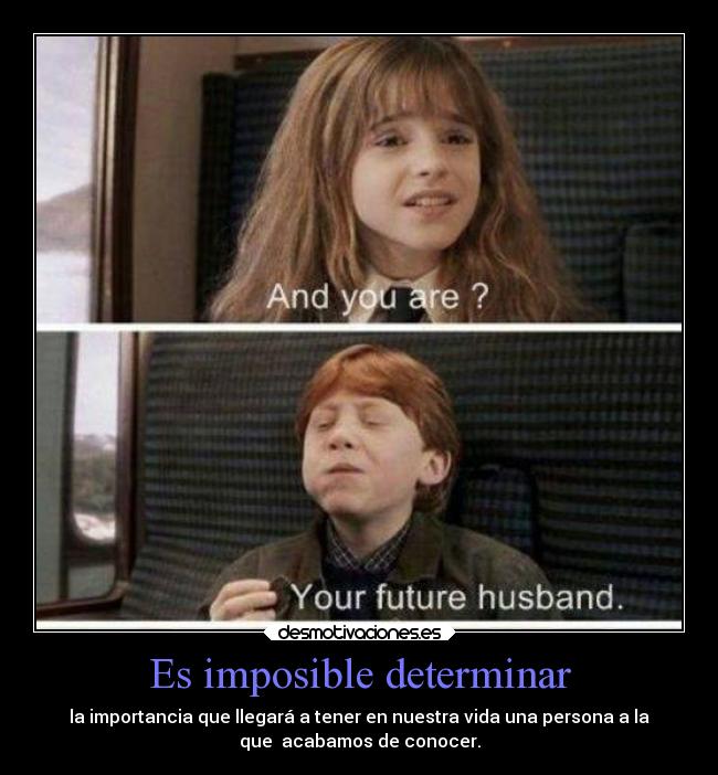 carteles imposible amor amigos ron hermione desmotivaciones