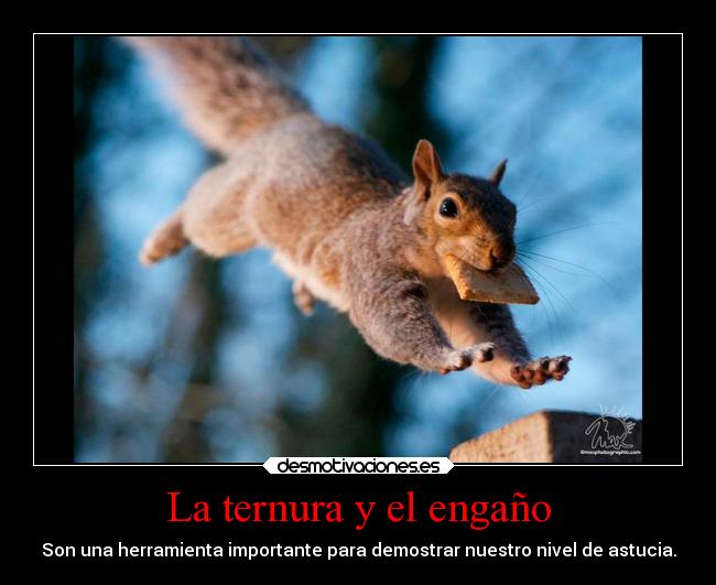 La ternura y el engaño -