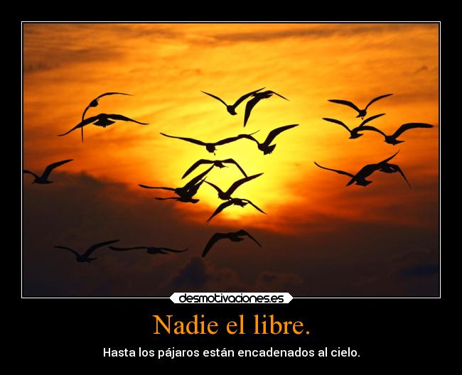 Nadie el libre. - 