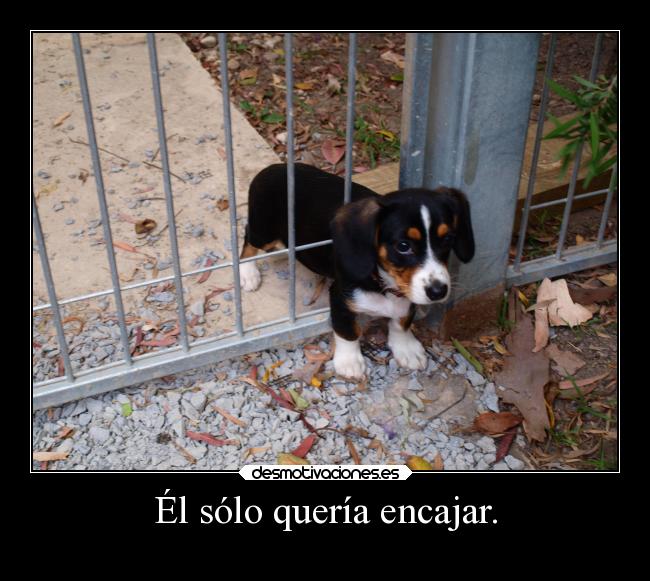 Él sólo quería encajar. -