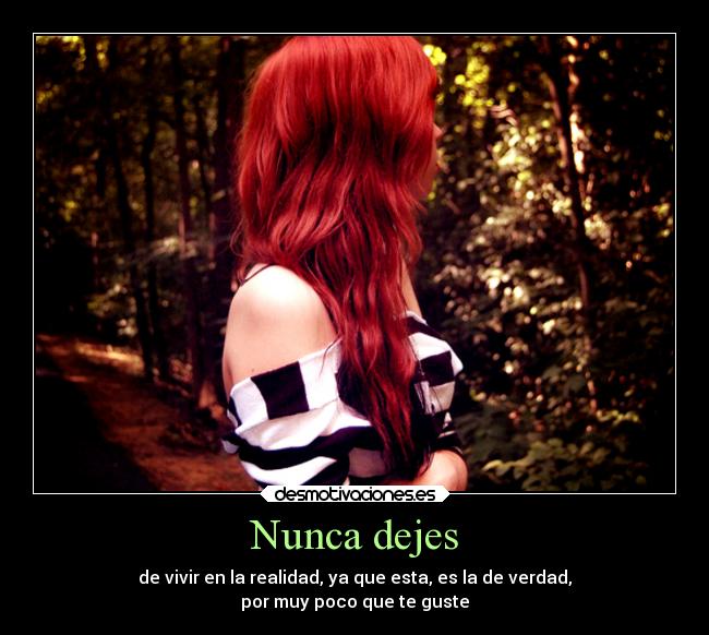 Nunca dejes - de vivir en la realidad, ya que esta, es la de verdad,
por muy poco que te guste