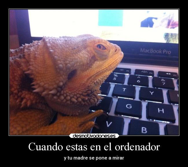 carteles madre animales iguana ordenador desmotivaciones