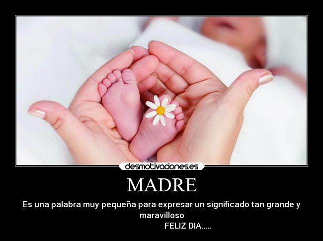 MADRE -