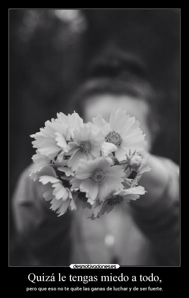 carteles miedo miedo alma elegy soul blueice scare nofear blackandwhite luchar strong quieroserfuerte desmotivaciones