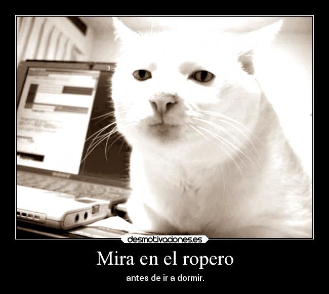 Mira en el ropero - antes de ir a dormir.