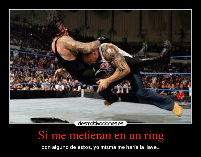 Si me metieran en un ring - con alguno de estos, yo misma me haría la llave...