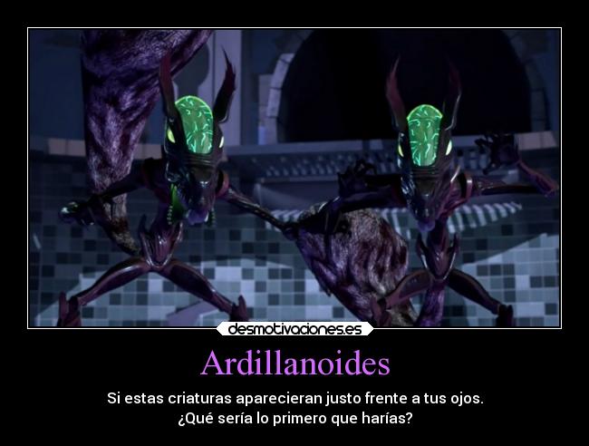 Ardillanoides - Si estas criaturas aparecieran justo frente a tus ojos.
¿Qué sería lo primero que harías?