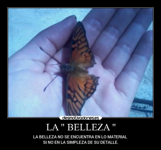 carteles miedo vida suenos desmotivaciones